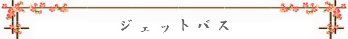 ジェットバス見出し